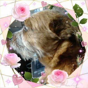 Meet your Posher, Steven p